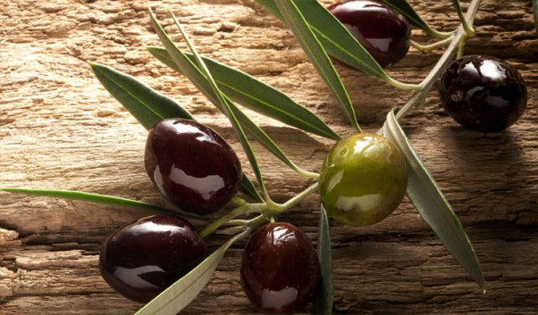 olive 2