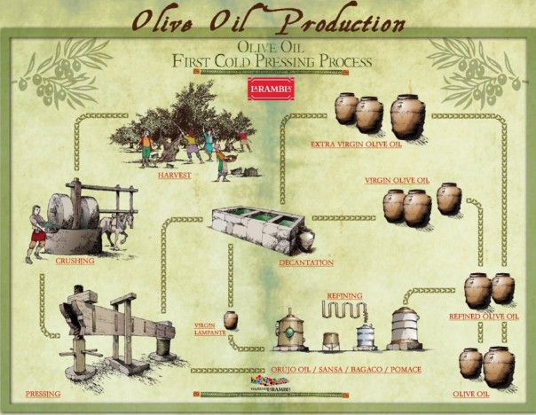 olive 5