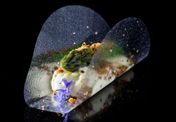 molekularna gastronomija 3