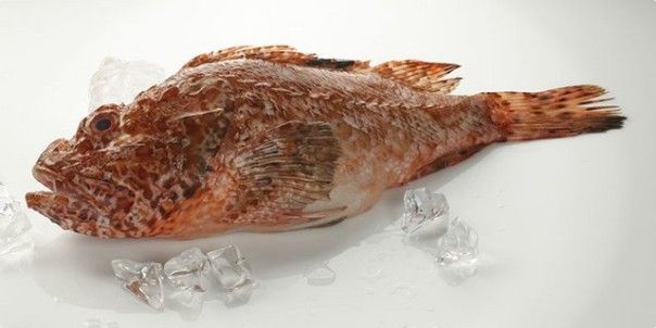 skarpina